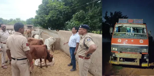 दुर्ग में पुलिस ने पकड़ा गौवंश से भरा ट्रक, आरोपी फरार